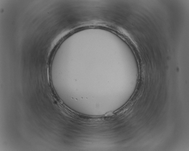 X0000072941320200608181331