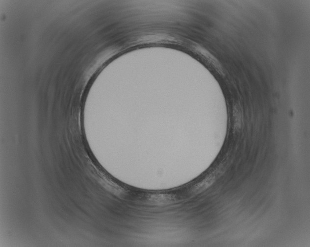 X0000072941322200608181331