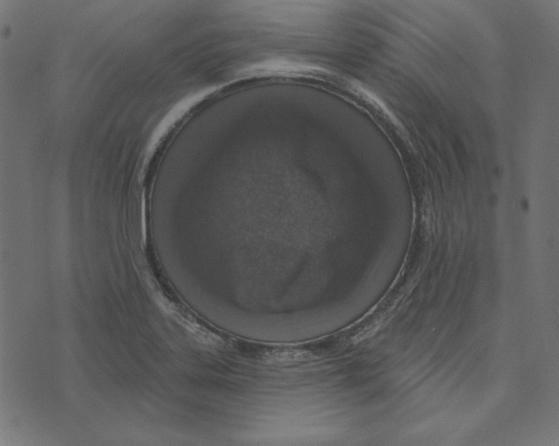 X0000072941323200608181331