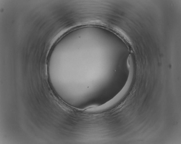 X0000072941324200608181331