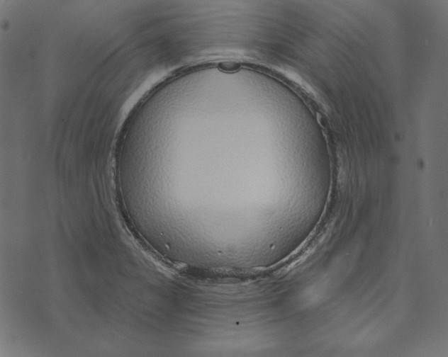 X0000072941325200608181331