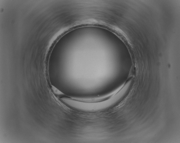 X0000072941326200608181331