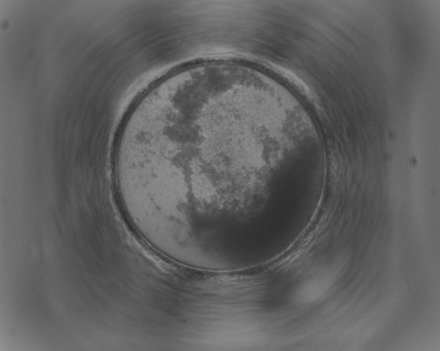 X0000072941327200608181331