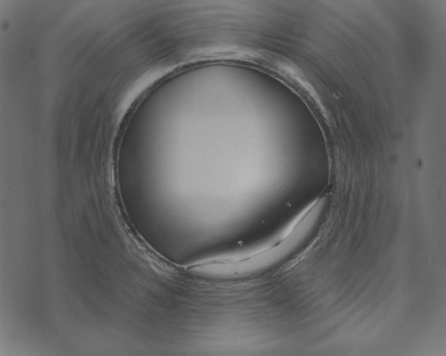 X0000072941328200608181331