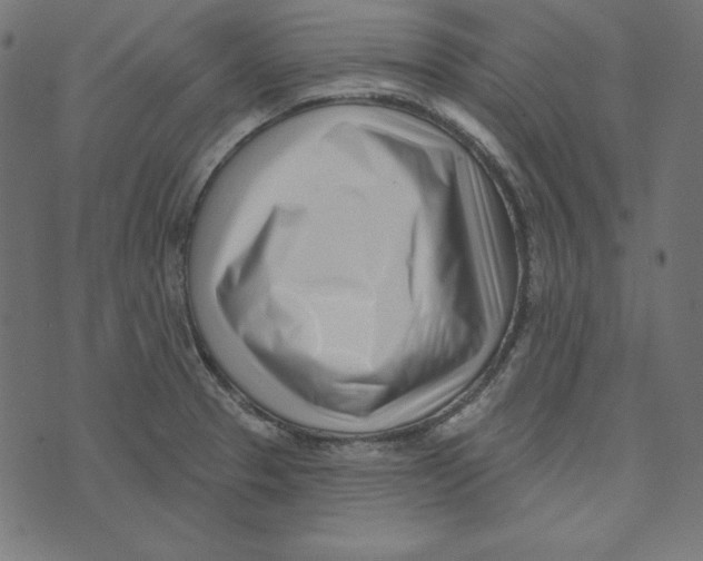 X0000072941329200608181331