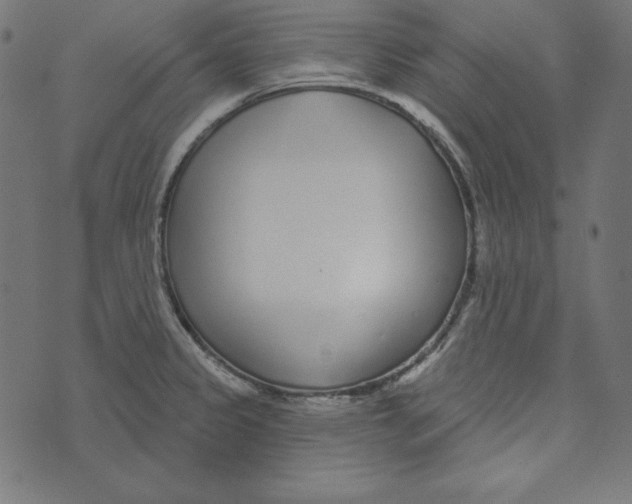 X0000072941333200608181331