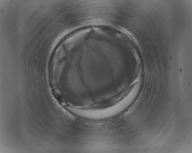 X0000072941334200608181331