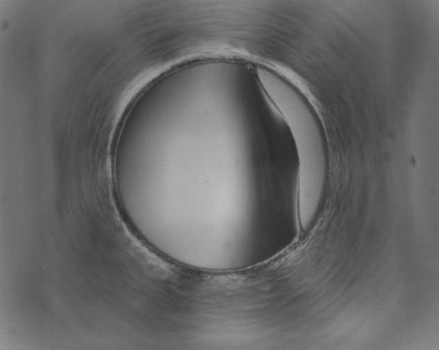 X0000072941335200608181331