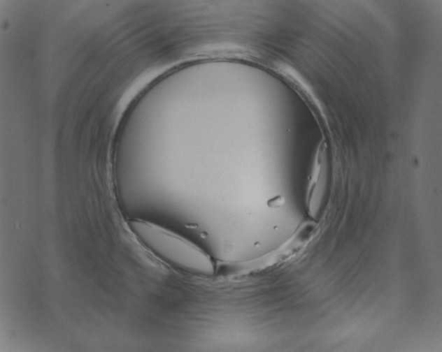 X0000072941336200608181331