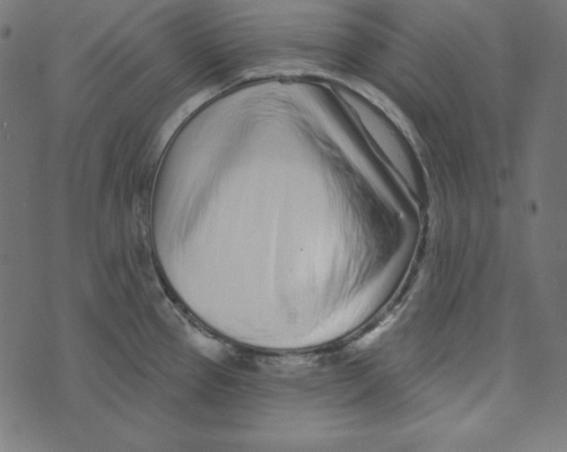 X0000072941337200608181331