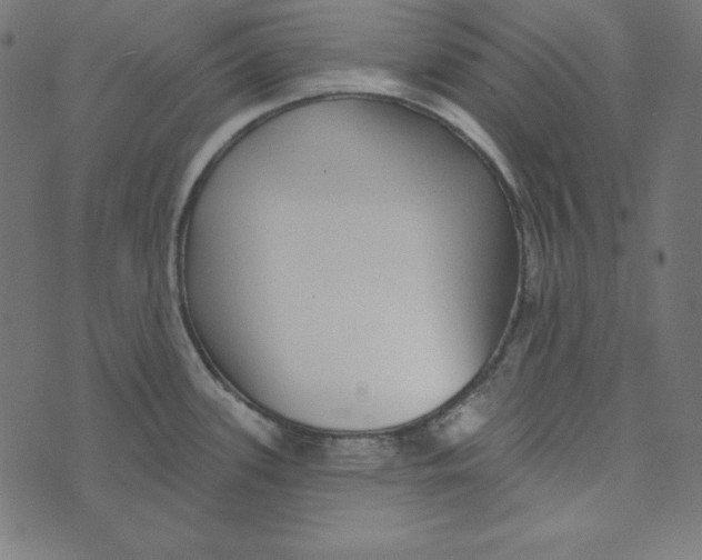 X0000072941339200608181331