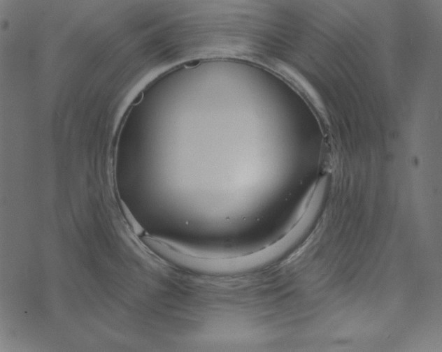 X0000072941340200608181331