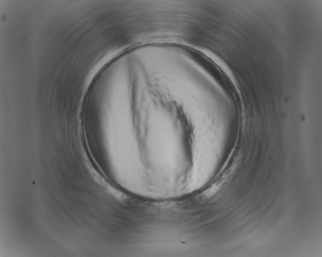 X0000072941341200608181331