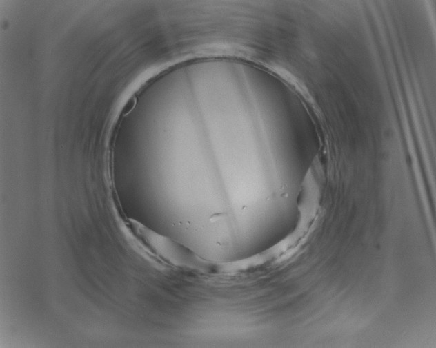 X0000072941342200608181331