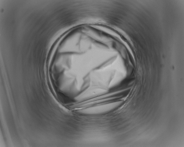 X0000072941343200608181331