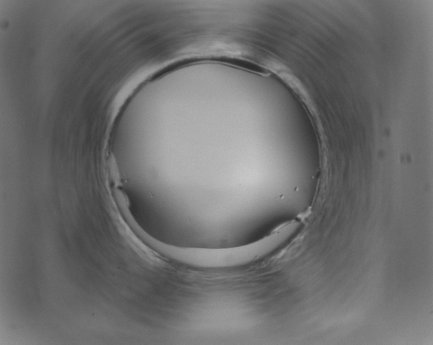 X0000072941344200608181331