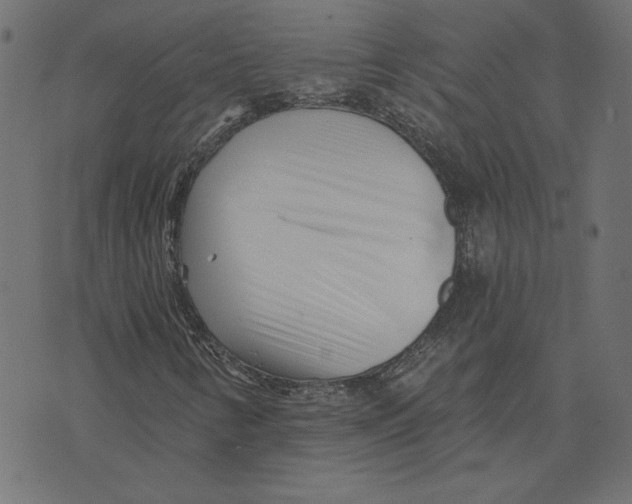 X0000072941346200608181331