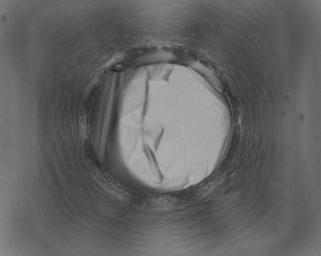 X0000072941348200608181331