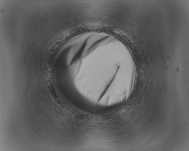 X0000072941349200608181331