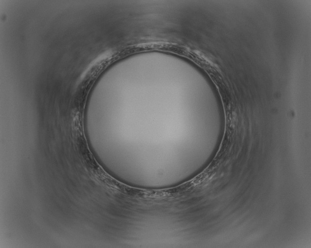 X0000072941351200608181331