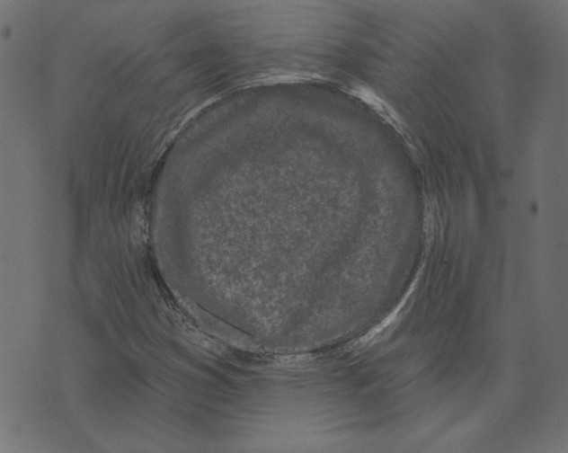 X0000072941353200608181331