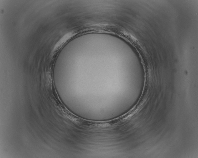 X0000072941354200608181331