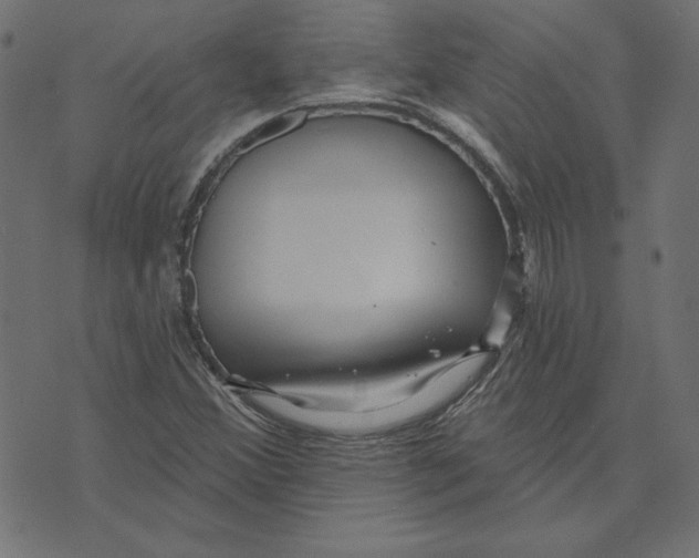 X0000072941356200608181331