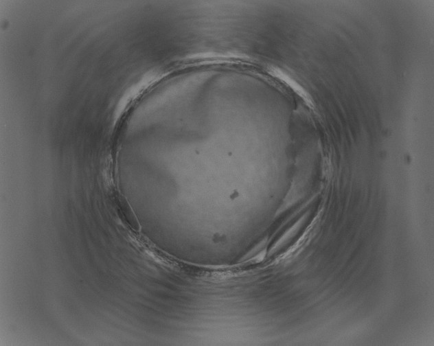 X0000072941357200608181330