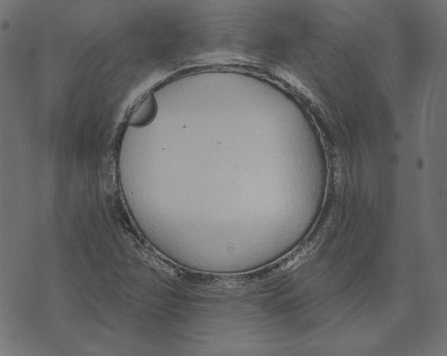 X0000072941358200608181330