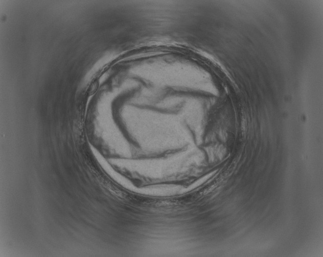 X0000072941359200608181330