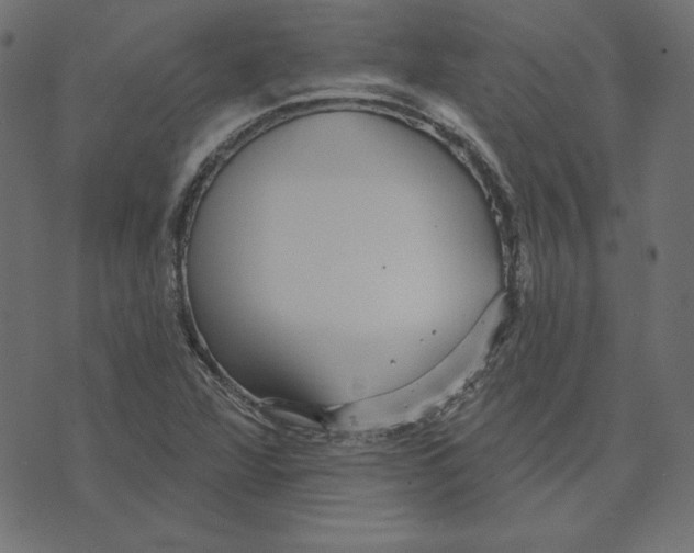 X0000072941360200608181330