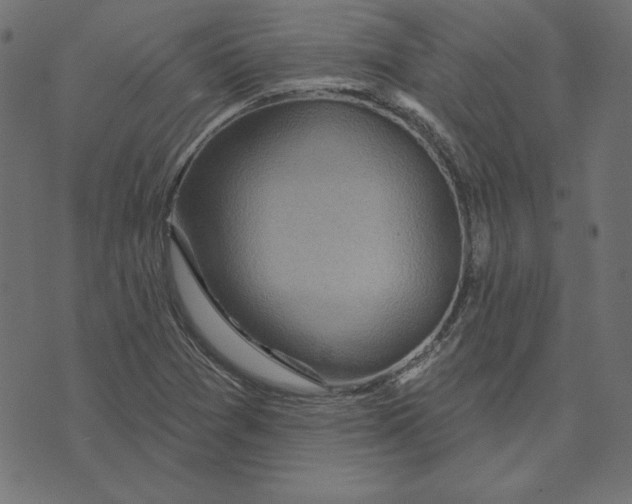 X0000072941361200608181330