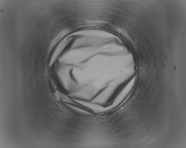 X0000072941362200608181330