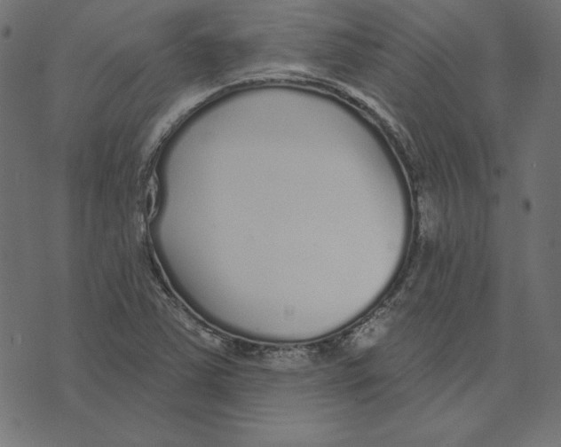 X0000072941363200608181330