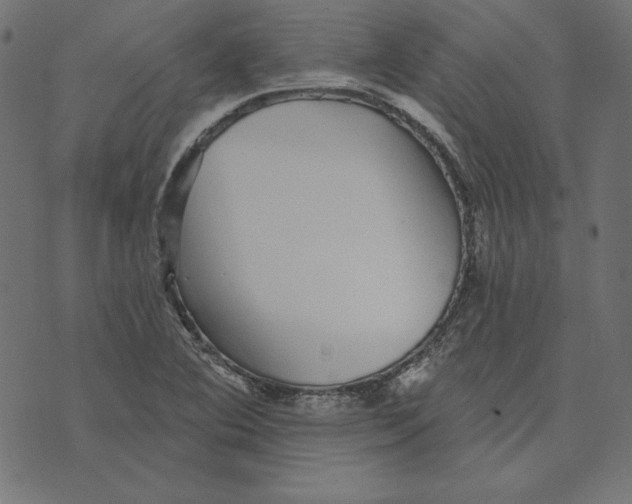 X0000072941364200608181330