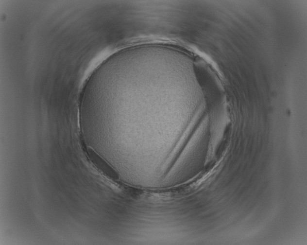 X0000072941365200608181330