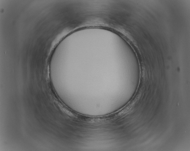 X0000072941366200608181330