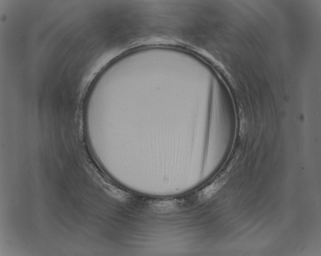 X0000072941367200608181330