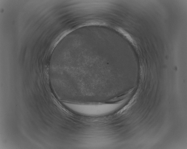 X0000072941369200608181330