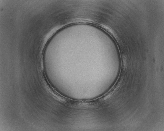 X0000072941371200608181330