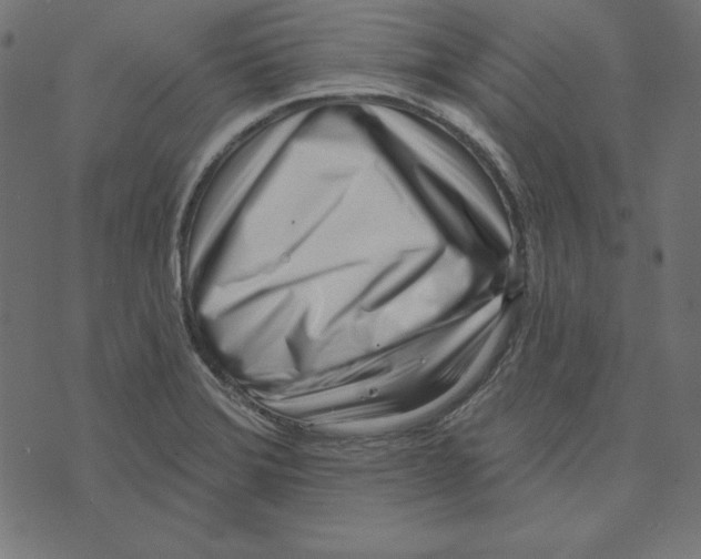 X0000072941372200608181330