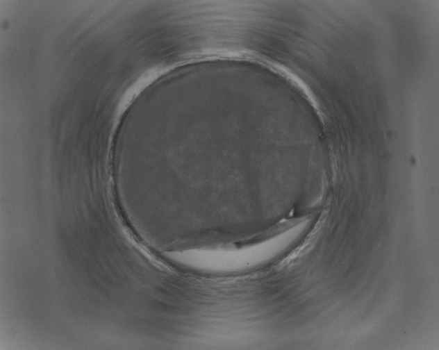 X0000072941373200608181330