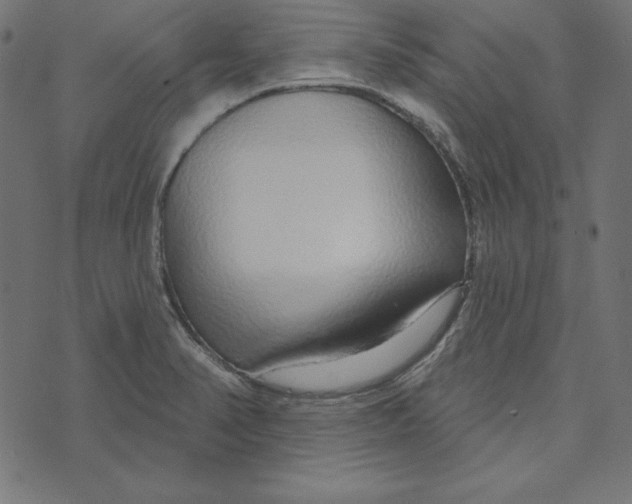 X0000072941374200608181330