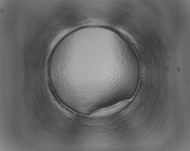 X0000072941375200608181330