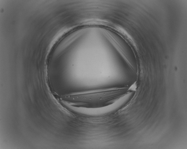 X0000072941376200608181330