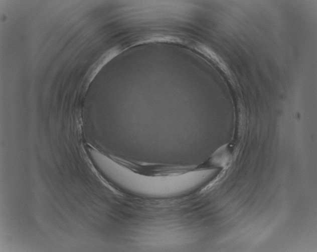 X0000072941377200608181330