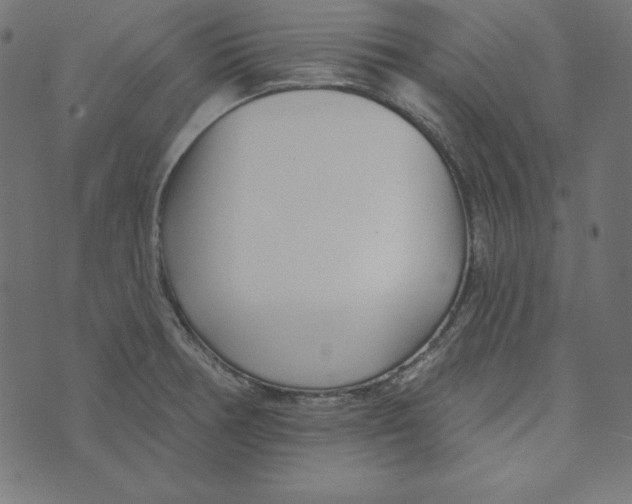 X0000072941378200608181330