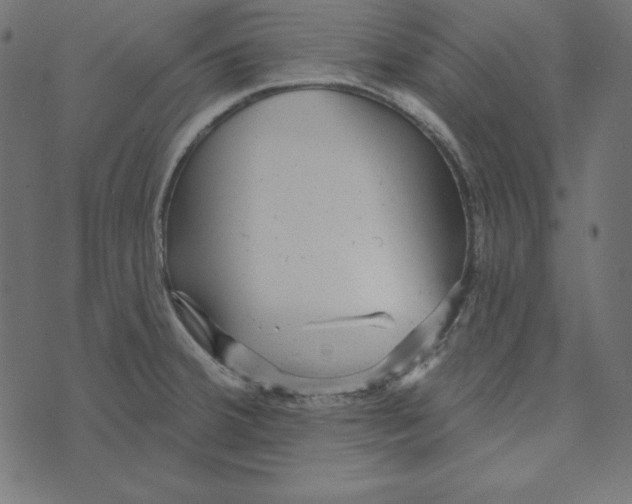 X0000072941380200608181330