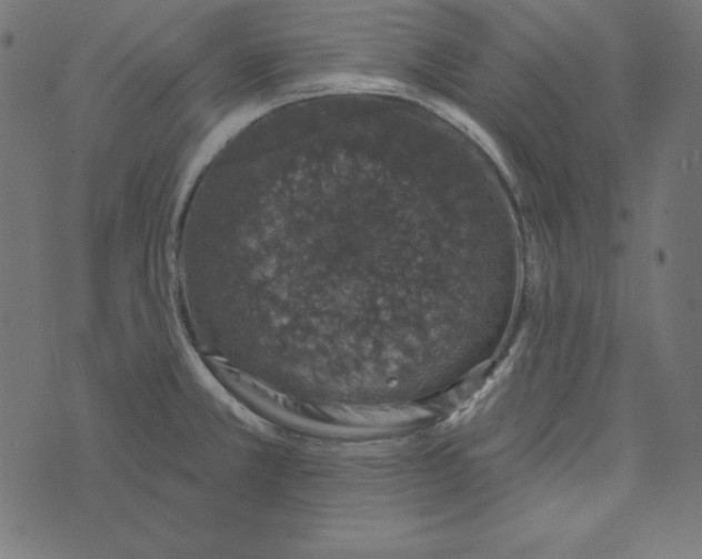 X0000072941381200608181330