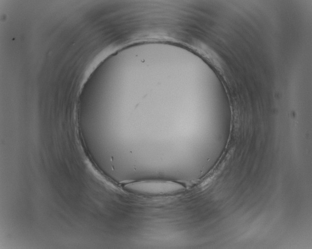 X0000072941382200608181330